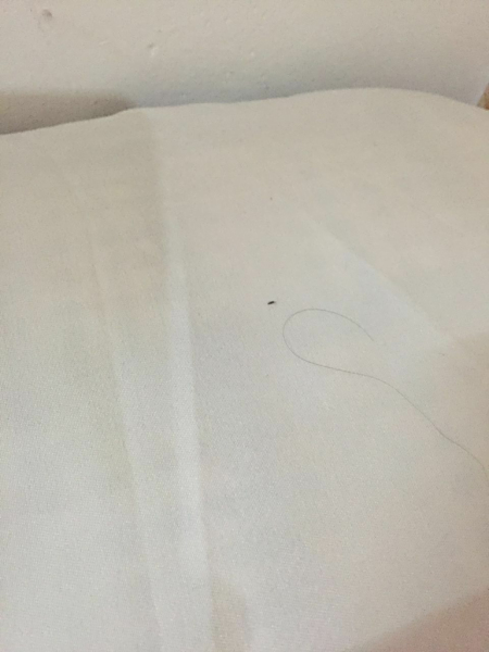 第529页